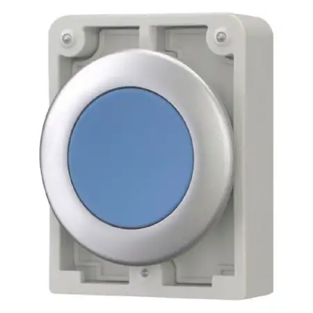 Drucktaste RMQ-Titan flach tastend blau M30C-FD-B