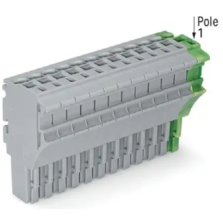 1-Leiter-Federleiste 4 mm², grau/grün-gelb 2022-114/000-036