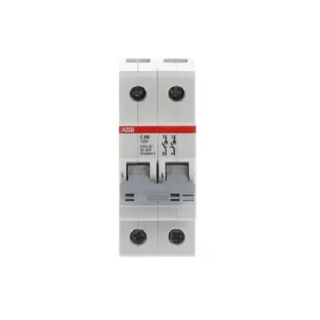 Trennschalter 25A,Schaltgriff grau E202/125G